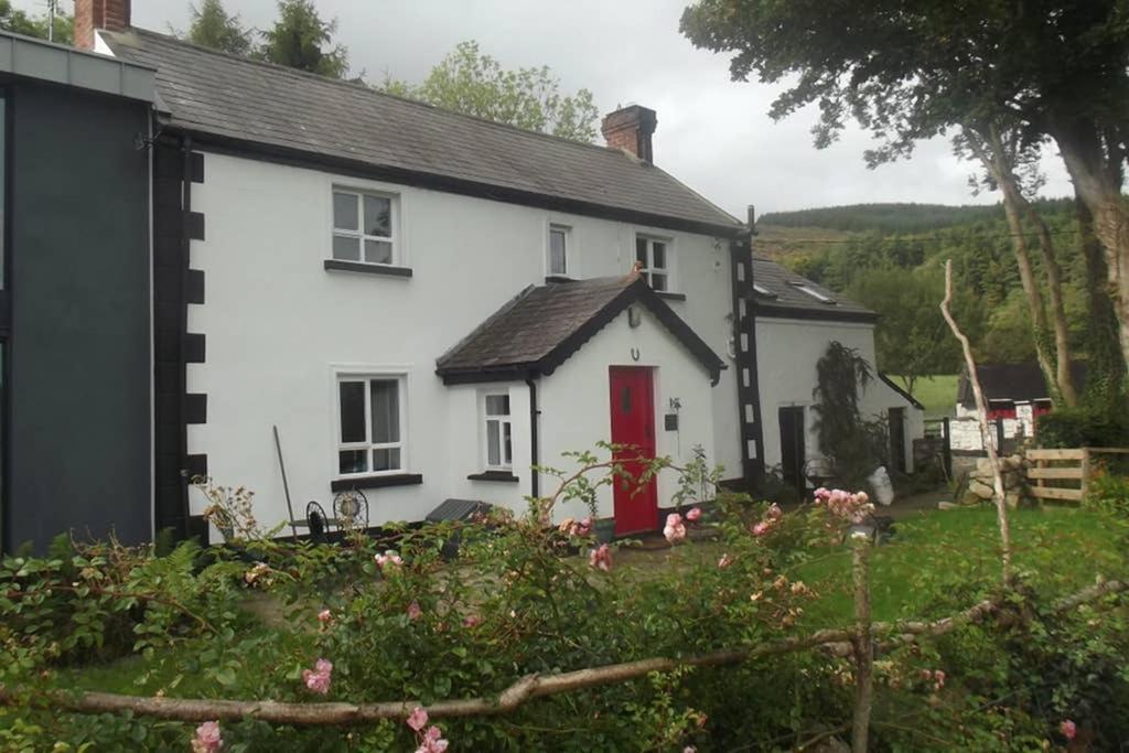Quarvue Farmhouse, Unique House With Views Of Mournes And Cooleys O Meith Exteriör bild