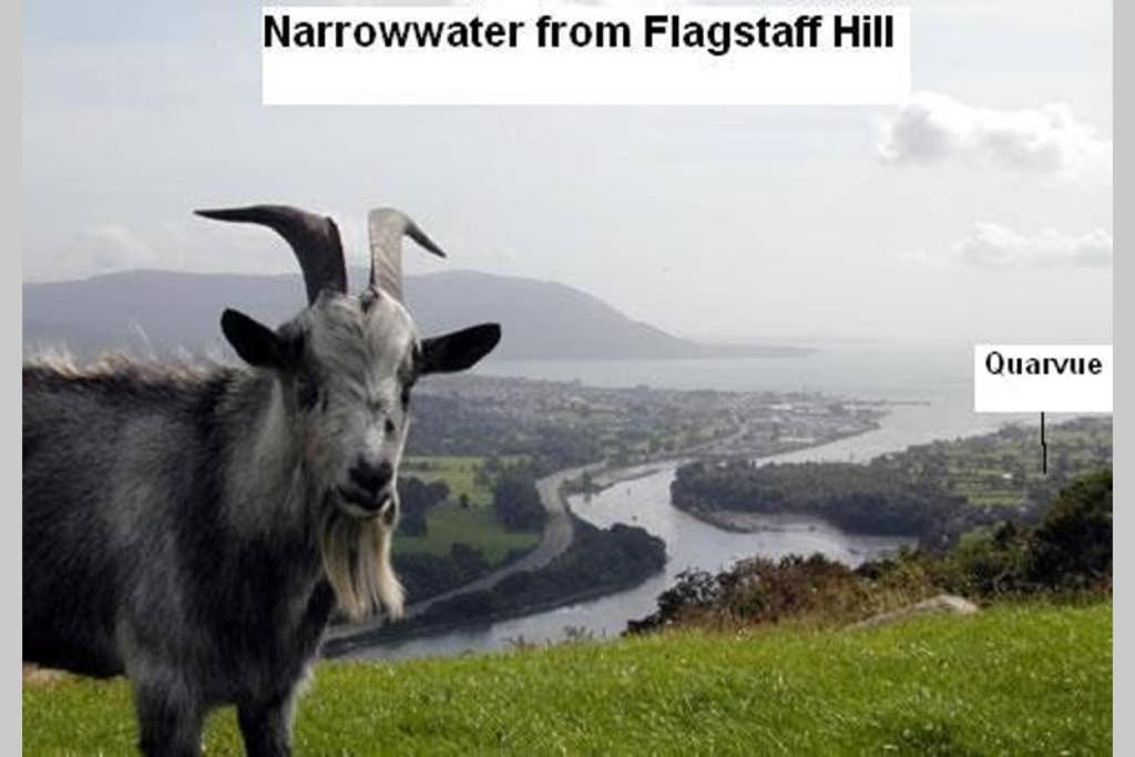 Quarvue Farmhouse, Unique House With Views Of Mournes And Cooleys O Meith Exteriör bild